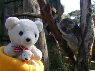 Phillip Island Wildlife Park