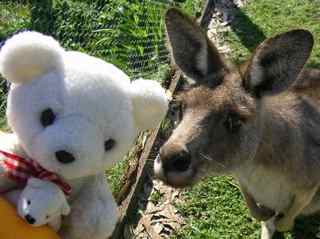 Phillip Island Wildlife Park