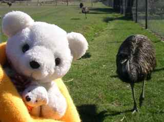 Phillip Island Wildlife Park