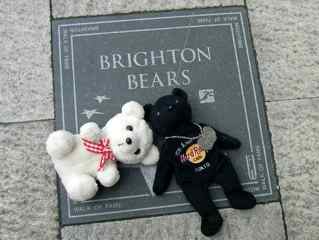 Brighton Bears
