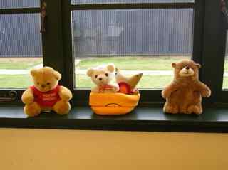 Teddy Bears Picnic