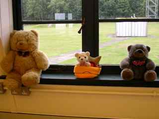 Teddy Bears Picnic