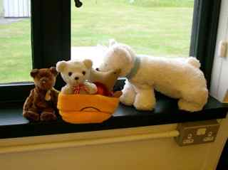 Teddy Bears Picnic