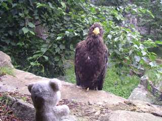 Edinburgh Zoo