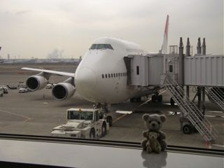 飛行機