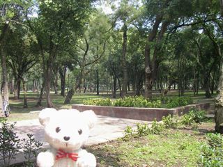 公園