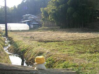 風景