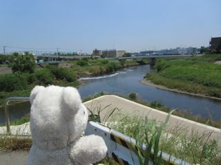 鶴見川