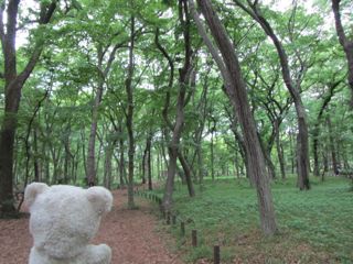 植物園