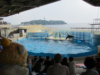 ショースタジアム