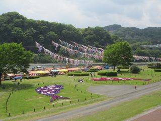 河川敷