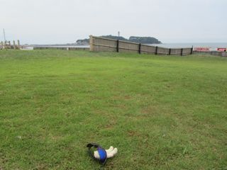 景色