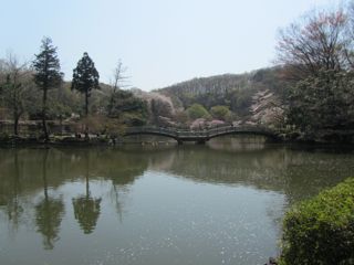 風景