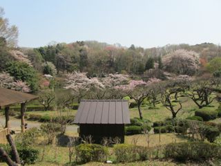 風景