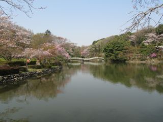 風景