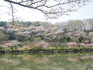 風景