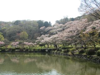 風景