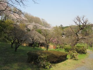 風景