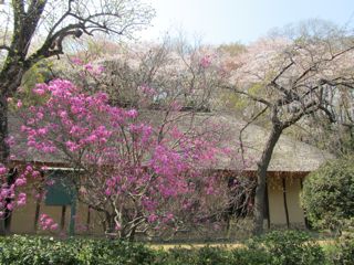 風景