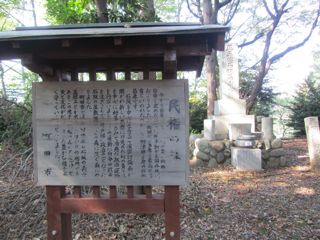 風景