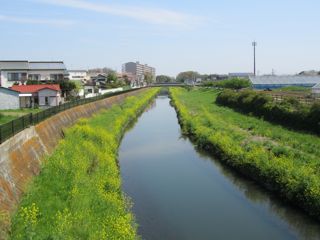 風景