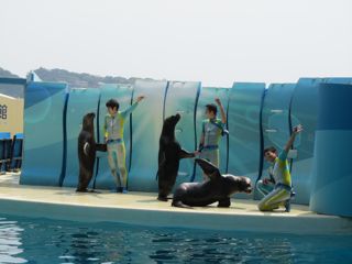 海獣