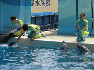 イルカ