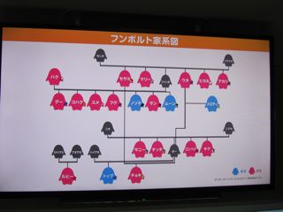 家系図