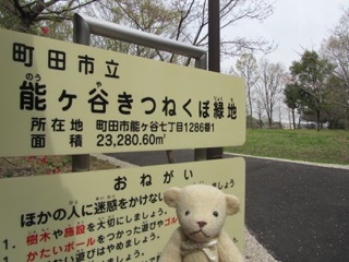 緑地