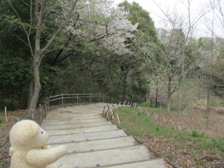 緑地