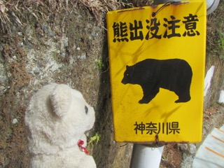 熊出没