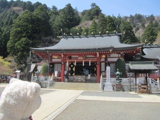 神社