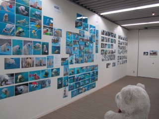 展示