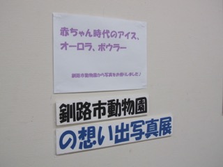展示
