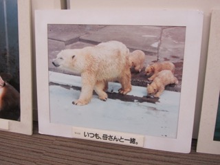 展示