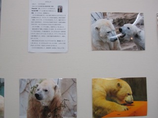 展示