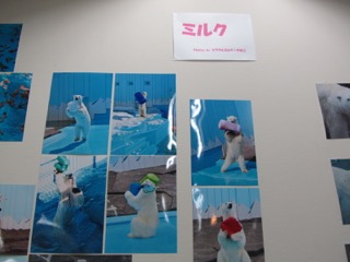 展示