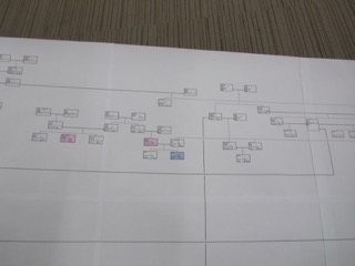 展示
