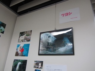 展示