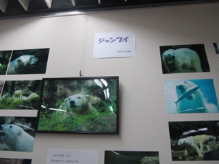 展示