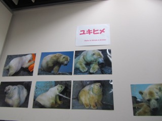 展示