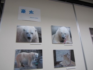 展示