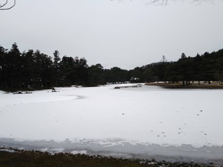 毛越寺