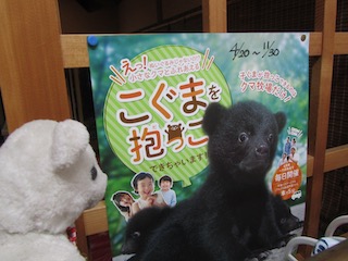 宿