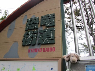 恐竜街道