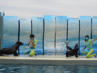 ショースタジアム
