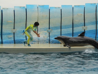 ショースタジアム