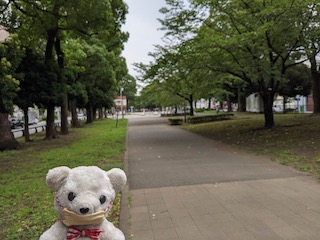 大通り公園