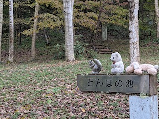 地球の宝石箱