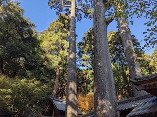 烏兎神社